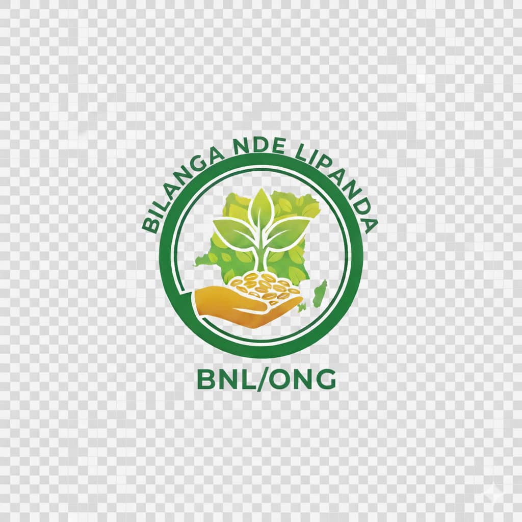 Projet BILANGA NDE LIPANDA